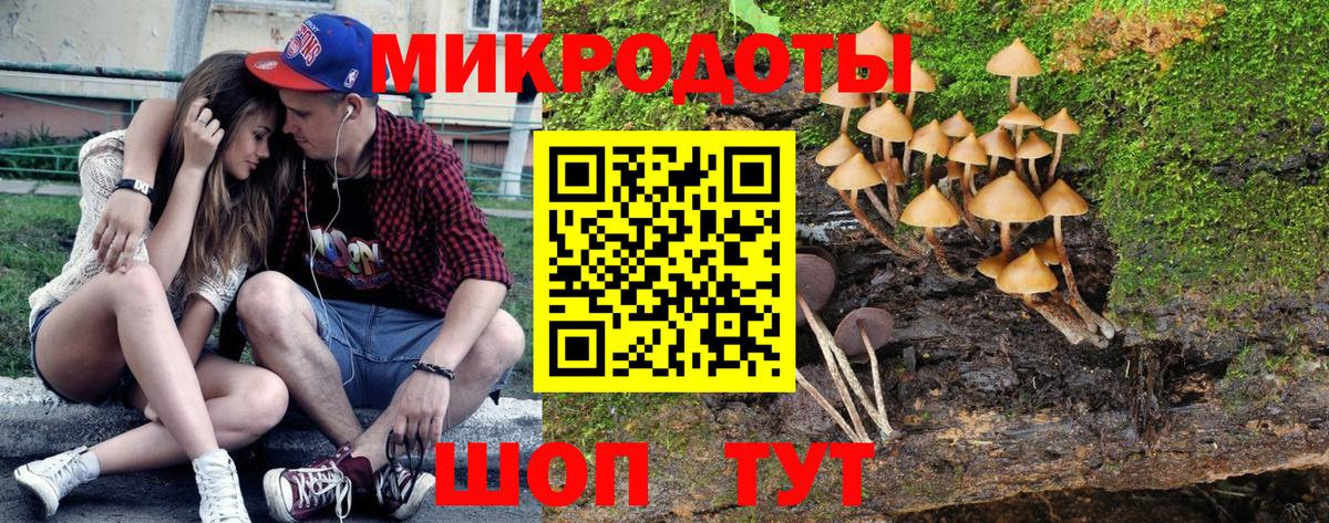 Костомукша  Галлюциногенные грибы Psilocybine cubensis  Вход с VPN 