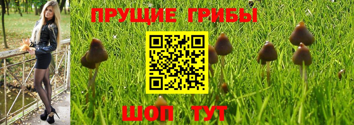 Галлюциногенные грибы Magic Shrooms Костомукша